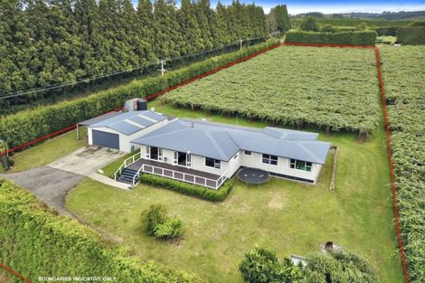 Photo of property in 882 Te Matai Road, Te Ranga, Te Puke, 3188