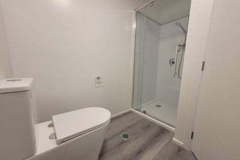 Photo of property in 12/12 Nikau Street, Eden Terrace, Auckland, 1021