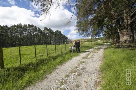 Photo of property in 208 Valley Road, Mangapapa, Gisborne, 4010