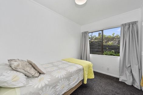 Photo of property in 8a Park Terrace, Hamilton Central, Hamilton, 3204