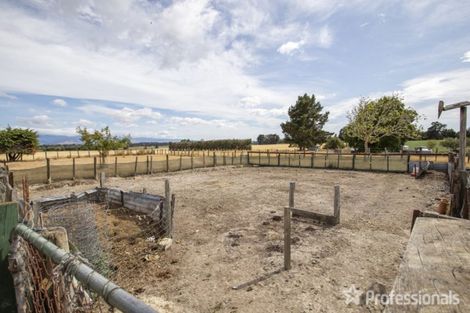 Photo of property in 1440 Martinborough Masterton Road, Gladstone, Masterton, 5884