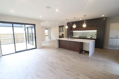 Photo of property in 16 Thomas Rielly Avenue, Hobsonville, Auckland, 0616