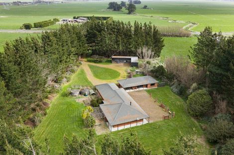 Photo of property in 1351 Rongotea Road, Kairanga, Palmerston North, 4475