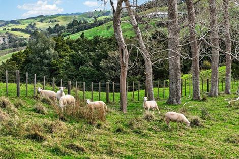 Photo of property in 63 Porter Road, Paparoa, 0571