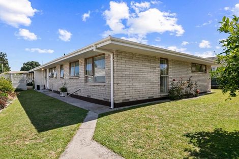 Photo of property in 115b Fourteenth Avenue, Tauranga South, Tauranga, 3112