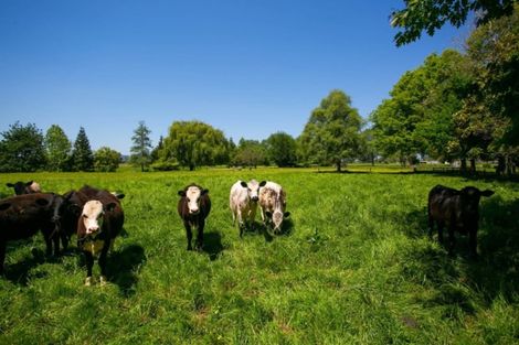 Photo of property in 77 Lee Martin Road, Tamahere, Cambridge, 3493