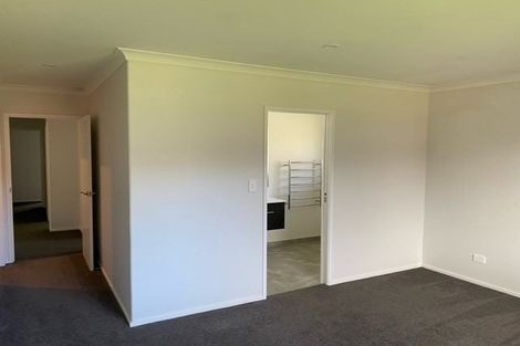 Photo of property in 20 Charlotte Drive, Omokoroa, 3114