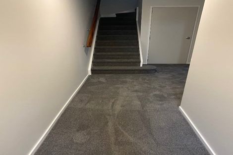 Photo of property in 22e Hunter Street, Hamilton Lake, Hamilton, 3204