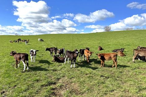 Photo of property in 233b Kio Kio Station Road, Otorohanga, 3974