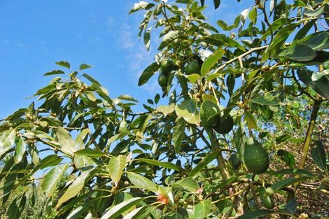 Photo of property in 8 Kapowai Lane, Kaiwaka, 0573