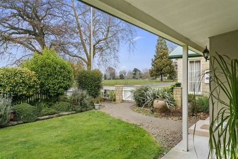 Photo of property in 87 Carlyle Street, Leamington, Cambridge, 3432