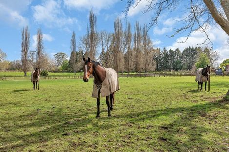 Photo of property in 63b Ludbrook Road, Pakaraka, Kaikohe, 0472