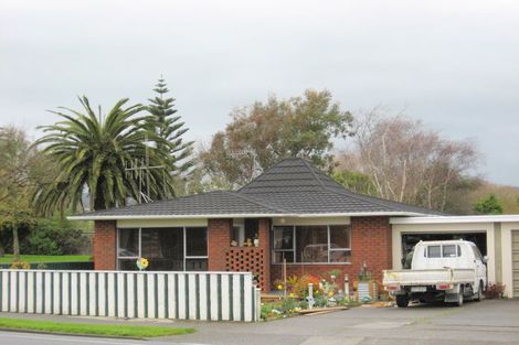 Photo of property in 380 Oxford Street, Levin, 5510