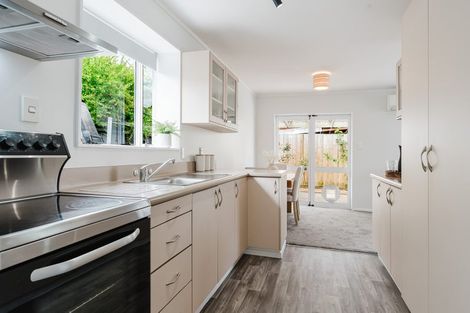 Photo of property in 172a Nixon Street, Hamilton East, Hamilton, 3216