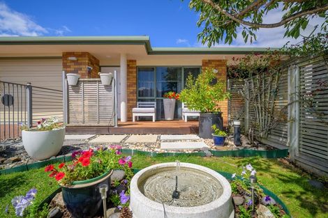 Photo of property in 45 Stephens Place, Hairini, Tauranga, 3112