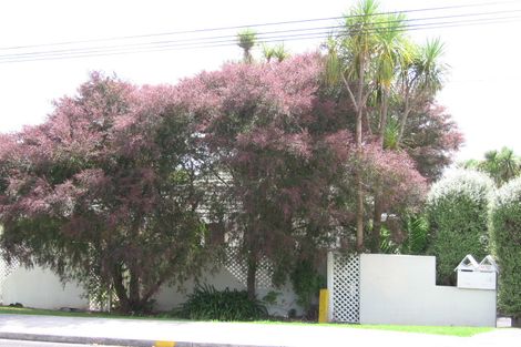 Photo of property in 1/41 Island Bay Road, Beach Haven, Auckland, 0626