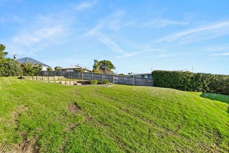 Photo of property in 24 Alton Avenue, Hillcrest, Auckland, 0627
