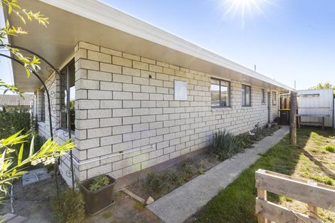 Photo of property in 209a Weld Street, Witherlea, Blenheim, 7201