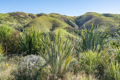 Photo of property in 165 Ashley Gorge Road, Starvation Hill, Oxford, 7495