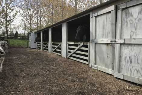 Photo of property in 73 Valerie Close, Warkworth, 0983