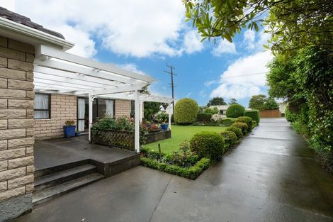 Photo of property in 158 Tiro Tiro Road, Levin, 5510