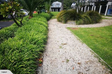 Photo of property in Norfolk Pines, 36/437b Albany Highway, Albany, Auckland, 0632