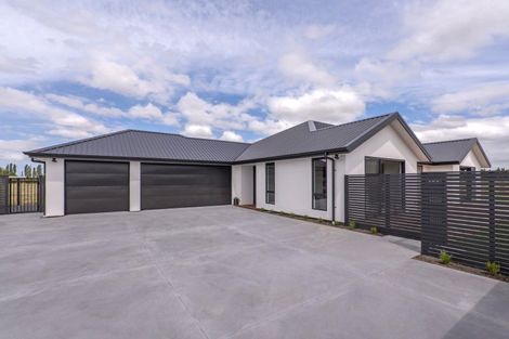 Photo of property in 31b Ashbury Drive, Tinwald, 7774