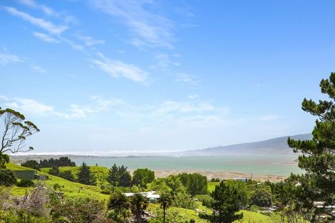 Photo of property in 80 Port Waikato-waikaretu Road, Port Waikato, 2695