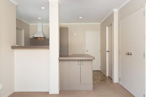 Photo of property in 11a Warwick Place, Brookfield, Tauranga, 3110