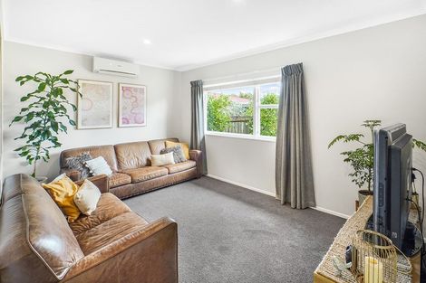 Photo of property in 22 Carlyle Avenue, Chartwell, Hamilton, 3210