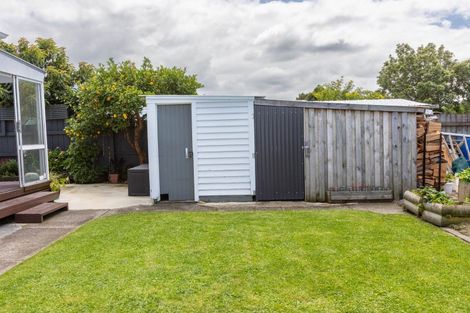 Photo of property in 21 Hall Street, Woodville, 4920