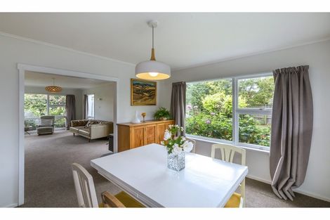 Photo of property in 17 Ferniehurst Street, Somerfield, Christchurch, 8024