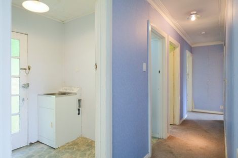 Photo of property in 19 Sunbury Street, Andersons Bay, Dunedin, 9013