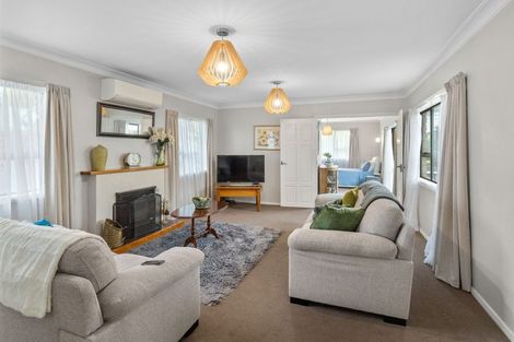 Photo of property in 158 Tiro Tiro Road, Levin, 5510