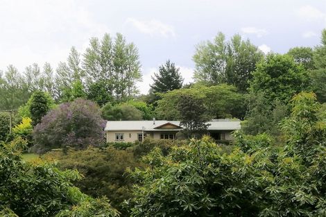 Photo of property in 281 Woodland Road, Tahawai, Katikati, 3170