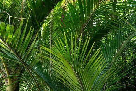 Photo of property in 101 Huia Street, Waikanae, 5391