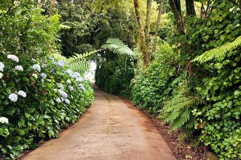 Photo of property in 821 Tariki Road, Ratapiko, Inglewood, 4390