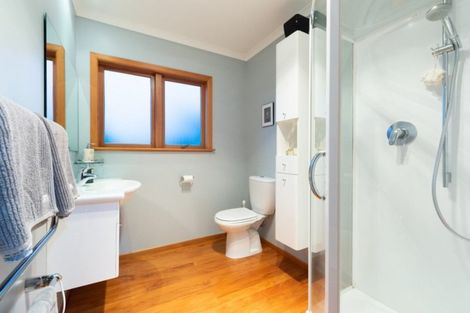 Photo of property in 113a Oceanview Road, Mount Maunganui, 3116