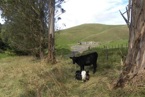 Photo of property in 7 Maungatawhiri Road, Raglan, 3295