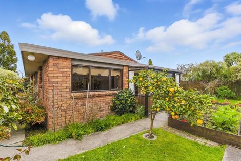 Photo of property in 48 Kapiti Road, Paraparaumu, 5032