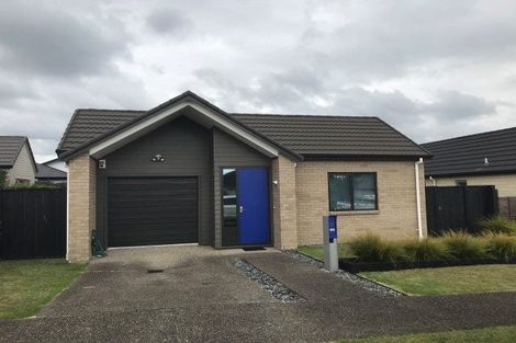 Photo of property in 11 Lanyard Street, Pyes Pa, Tauranga, 3112