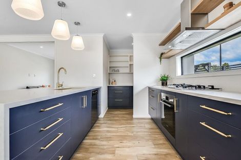 Photo of property in 24 Musselwhite Terrace, Chartwell, Hamilton, 3210