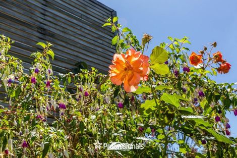 Photo of property in 14 Prouse Grove, Silverstream, Upper Hutt, 5019