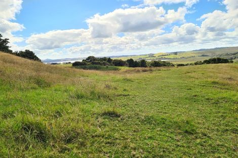 Photo of property in 304 Arapaoa Road, Tinopai, Matakohe, 0593