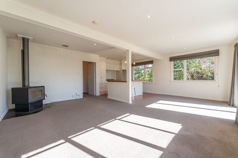 Photo of property in 41 Connolly Street, Geraldine, 7930