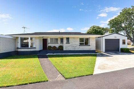 Photo of property in 63a Clarkin Road, Fairfield, Hamilton, 3214