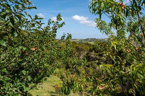 Photo of property in 205 Takahoa Drive, Kaiwaka, 0573