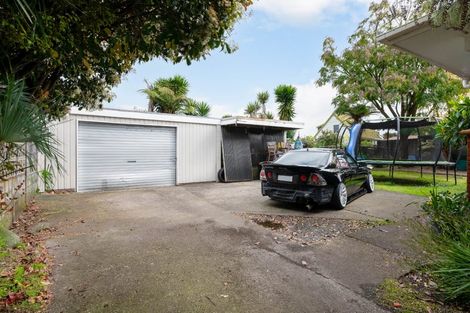 Photo of property in 12 Freemont Street, Chartwell, Hamilton, 3210