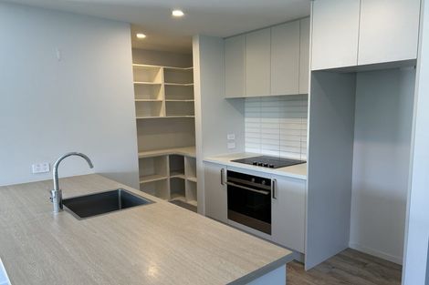 Photo of property in 19 Richard Hadlee Lane, Rolleston, 7615