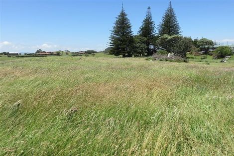 Photo of property in 12 Alcemene Lane, Baylys Beach, Dargaville, 0377